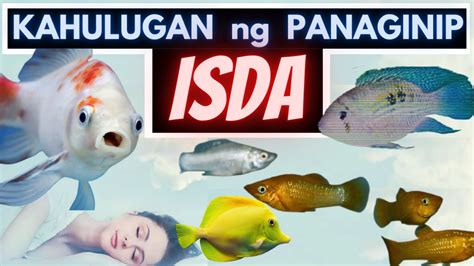 Ano ang ibig sabihin ng panaginip ng isang malaking isda.